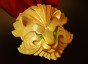 dota Medallion of Courage icon