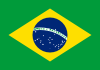 Brasil Ícone da bandeira do país