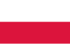 Pologne Icône de drapeau de pays