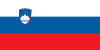 Slovenia Country Flag Icon