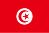 Tunisie Icône de drapeau de pays