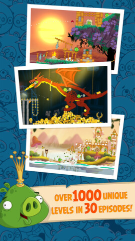 Angry Birds Seasons Game Icon
