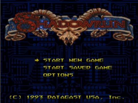 Shadow run Game Icon