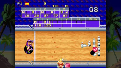 Windjammers Game Icon