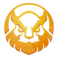 MGN Vikings Esports