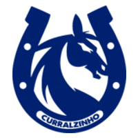 CRZ logo