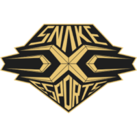 SS logo