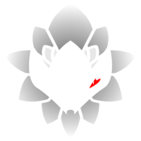 NCG logo