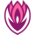 Lotus Knights
