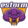 E-STORM