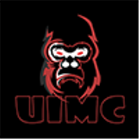 Team Ukraine International Media Culture Logo