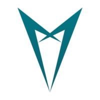 P11 logo