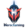 Hero Gaming