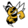 Paseka Team Logo