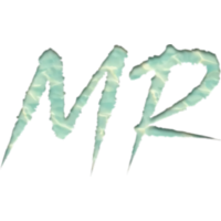 FS logo