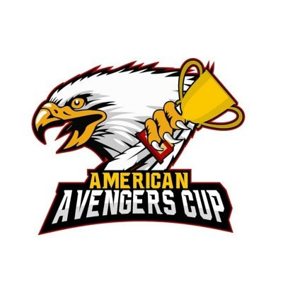 Torneio American Avenger Cup