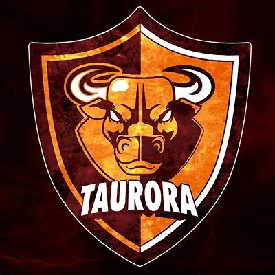 TaurInv1