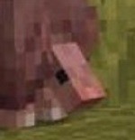 Mobs no Minecraft