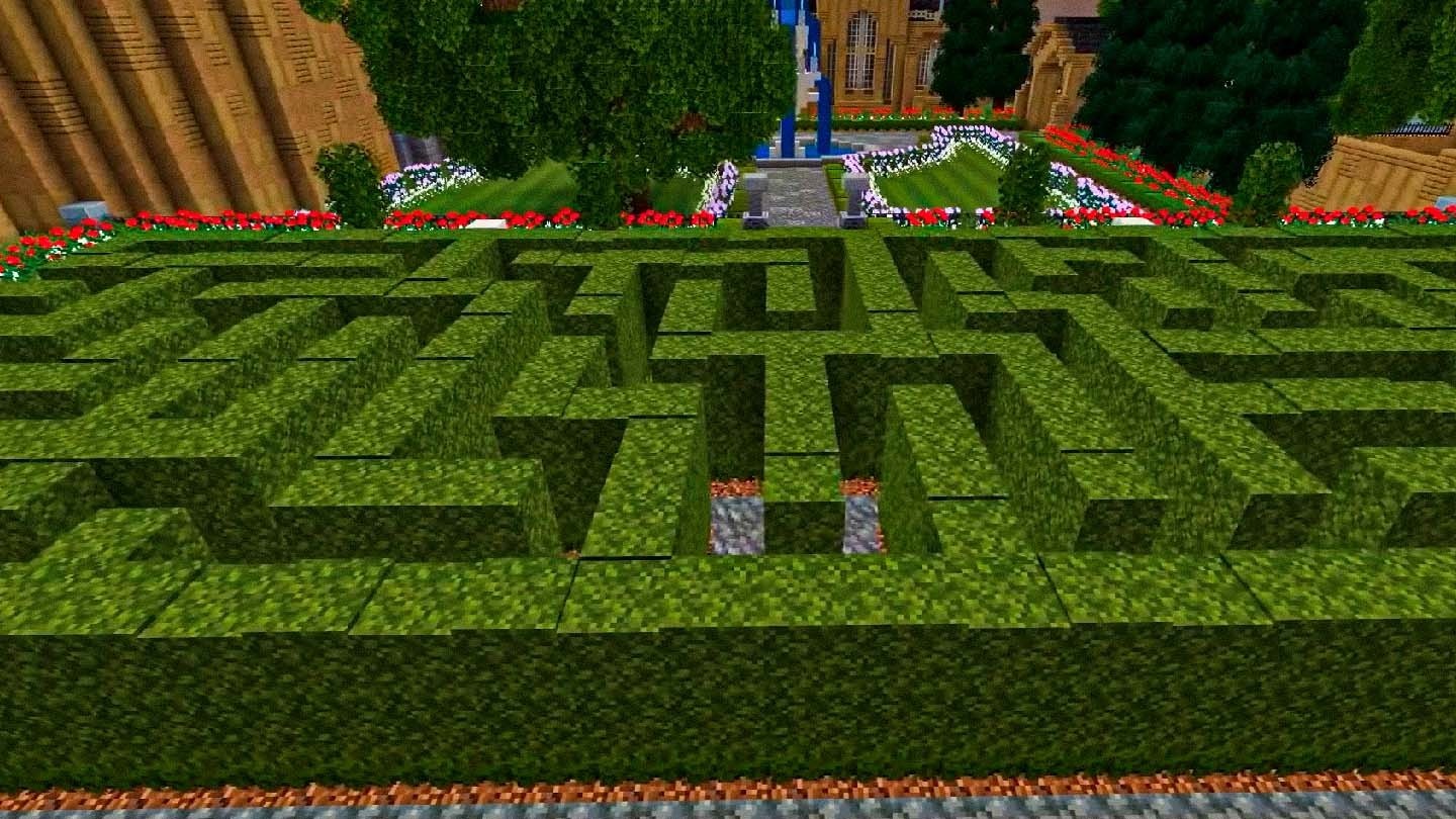 Hedge Maze