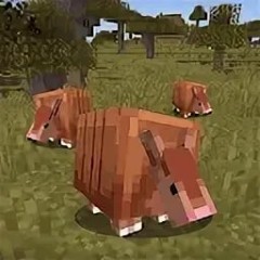 All animals in Minecraft