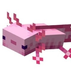 All animals in Minecraft