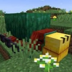 All animals in Minecraft