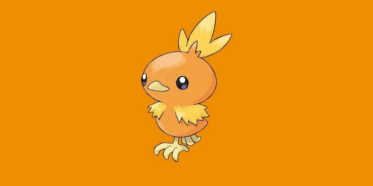 Torchic