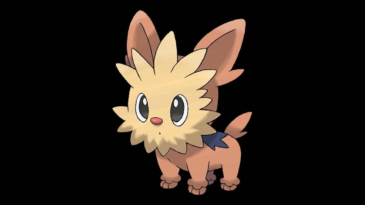 Lillipup