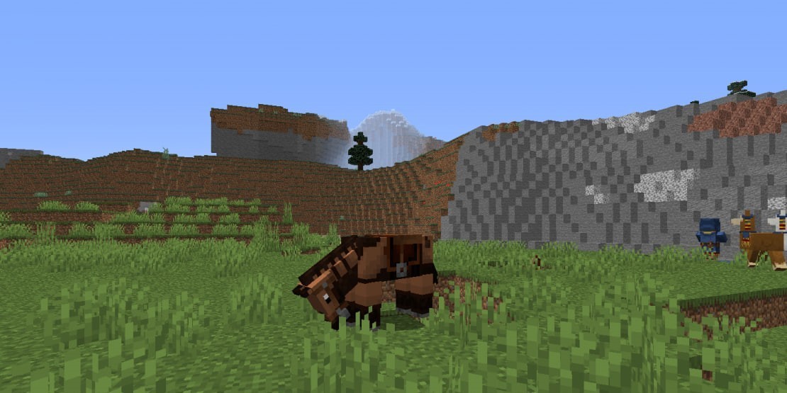 horse armor in minecraft