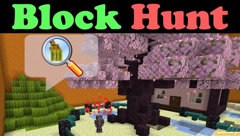 Block Hunt