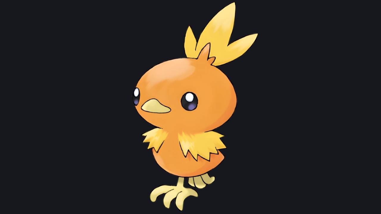 Torchic