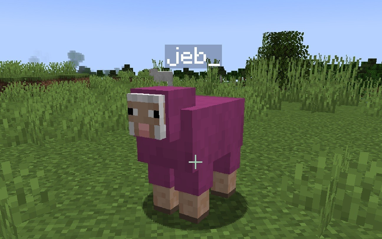 Name tag in Minecraft