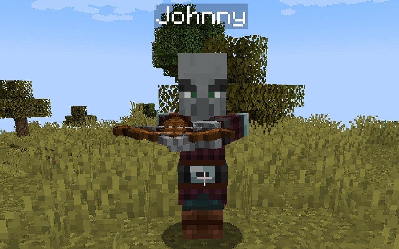 Name tag in Minecraft