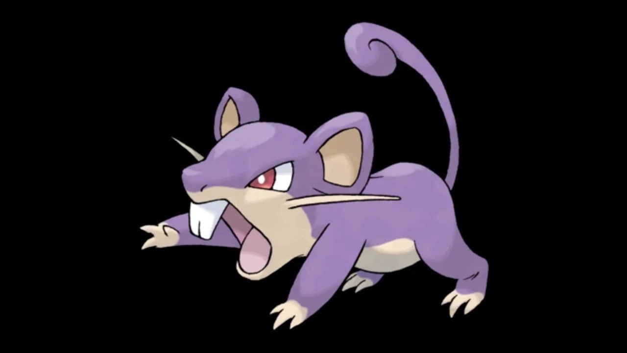 Rattata