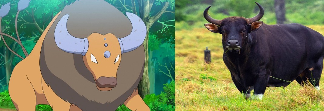 Tauros