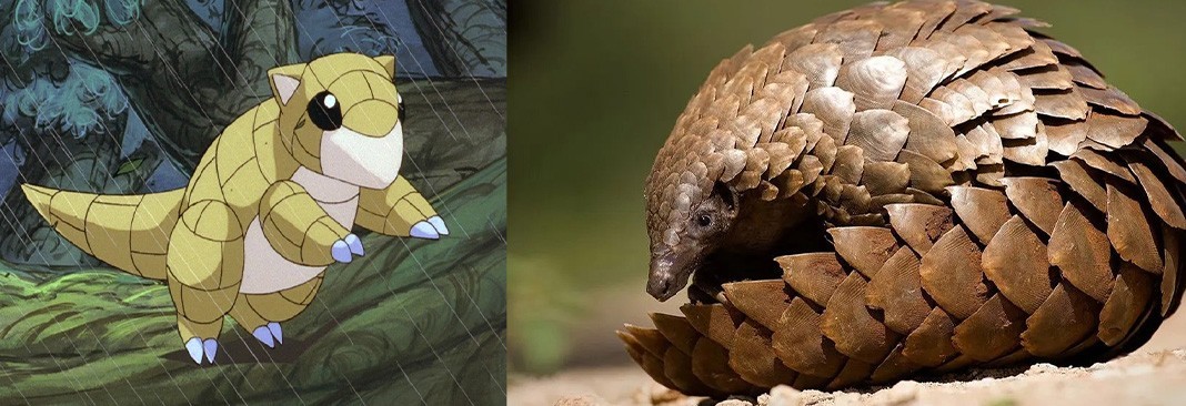 Sandshrew