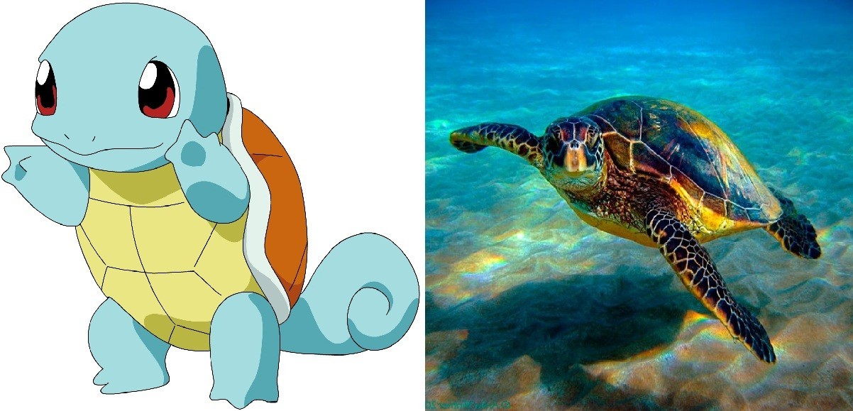 Squirtle