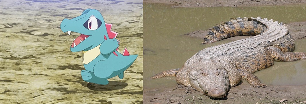 Totodile