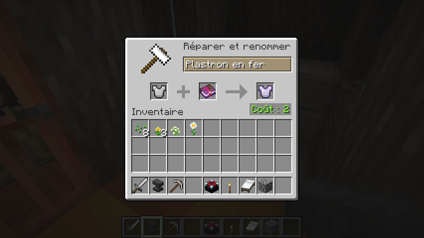 Types enchantements minecraft