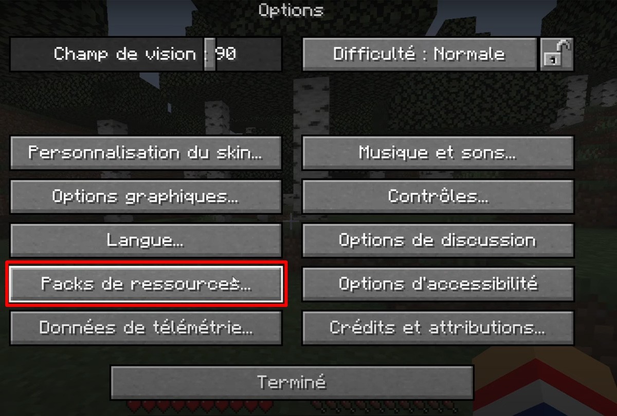 pack de texture sur minecraft