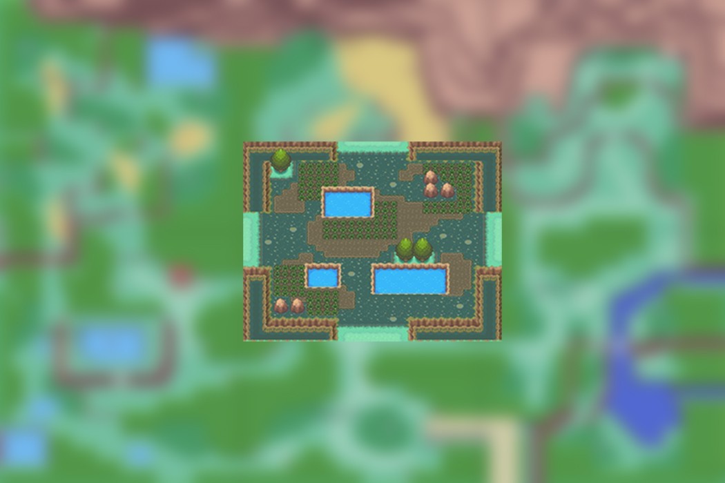 parc safari pokemon Johto