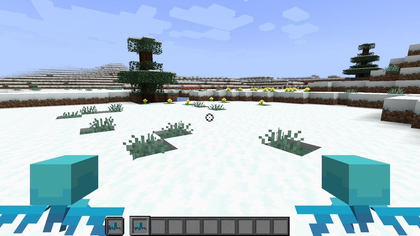 minecraft snow biome seed