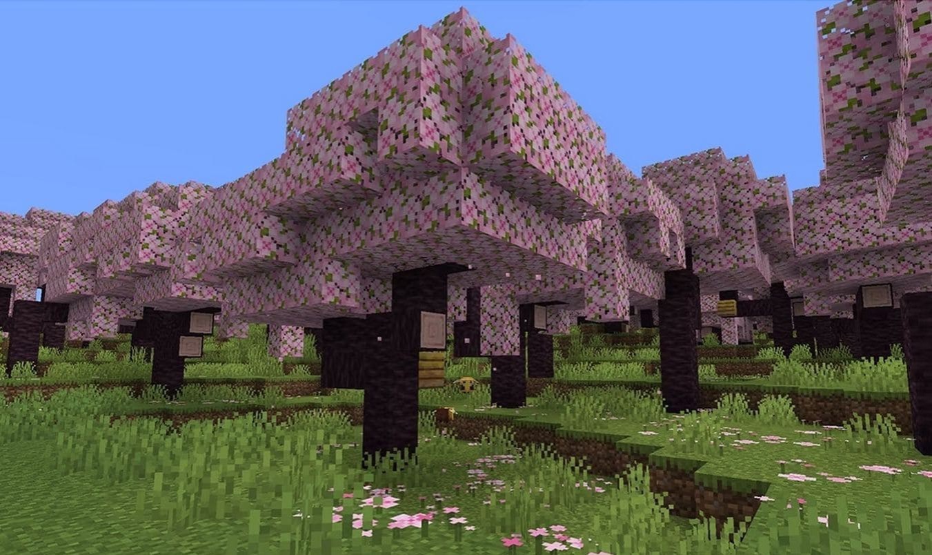 Explorez de nouveaux biomes Minecraft