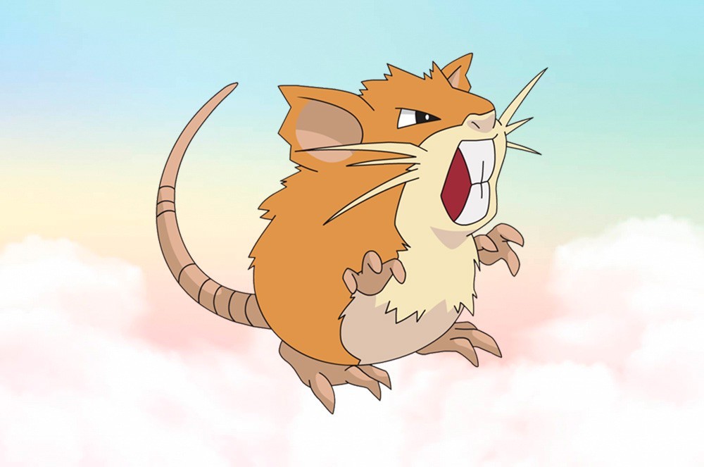 Raticate