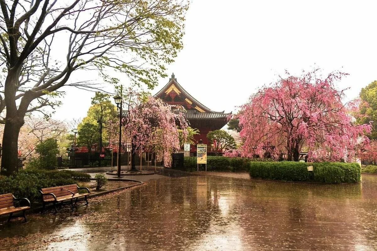 Le Parc urbain Tokyo