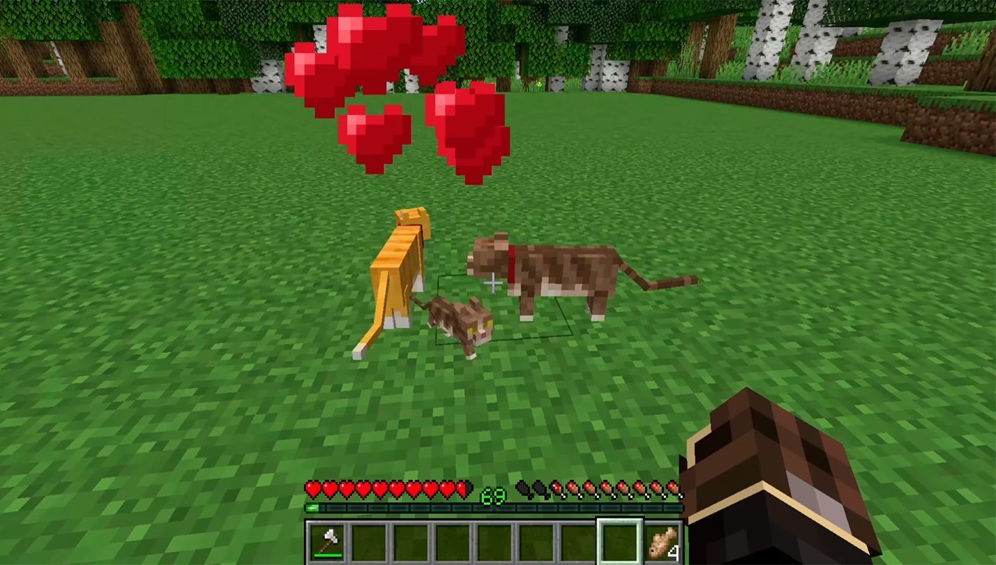 comment apprivoiser un chat dans minecraft