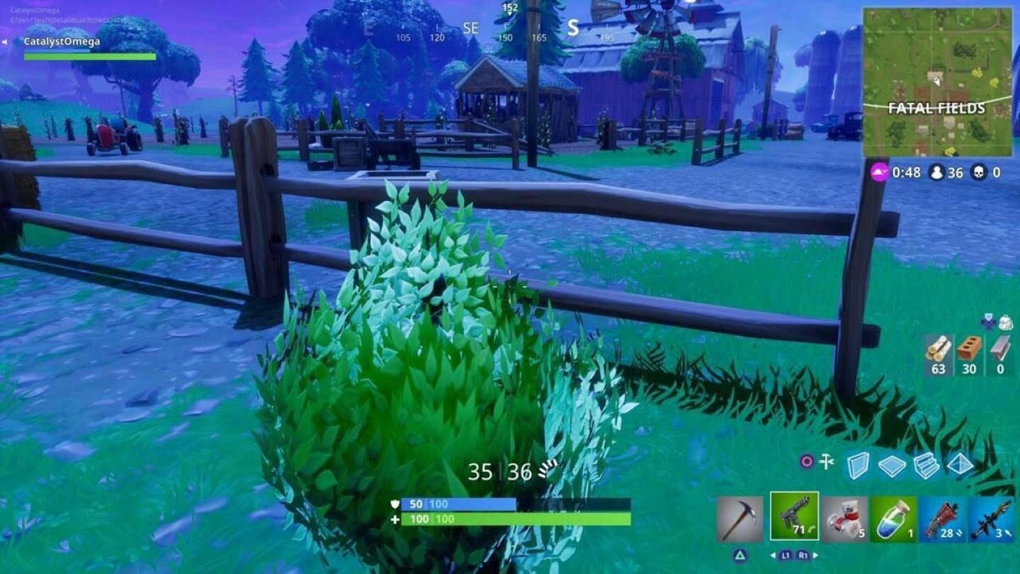 Fortnite