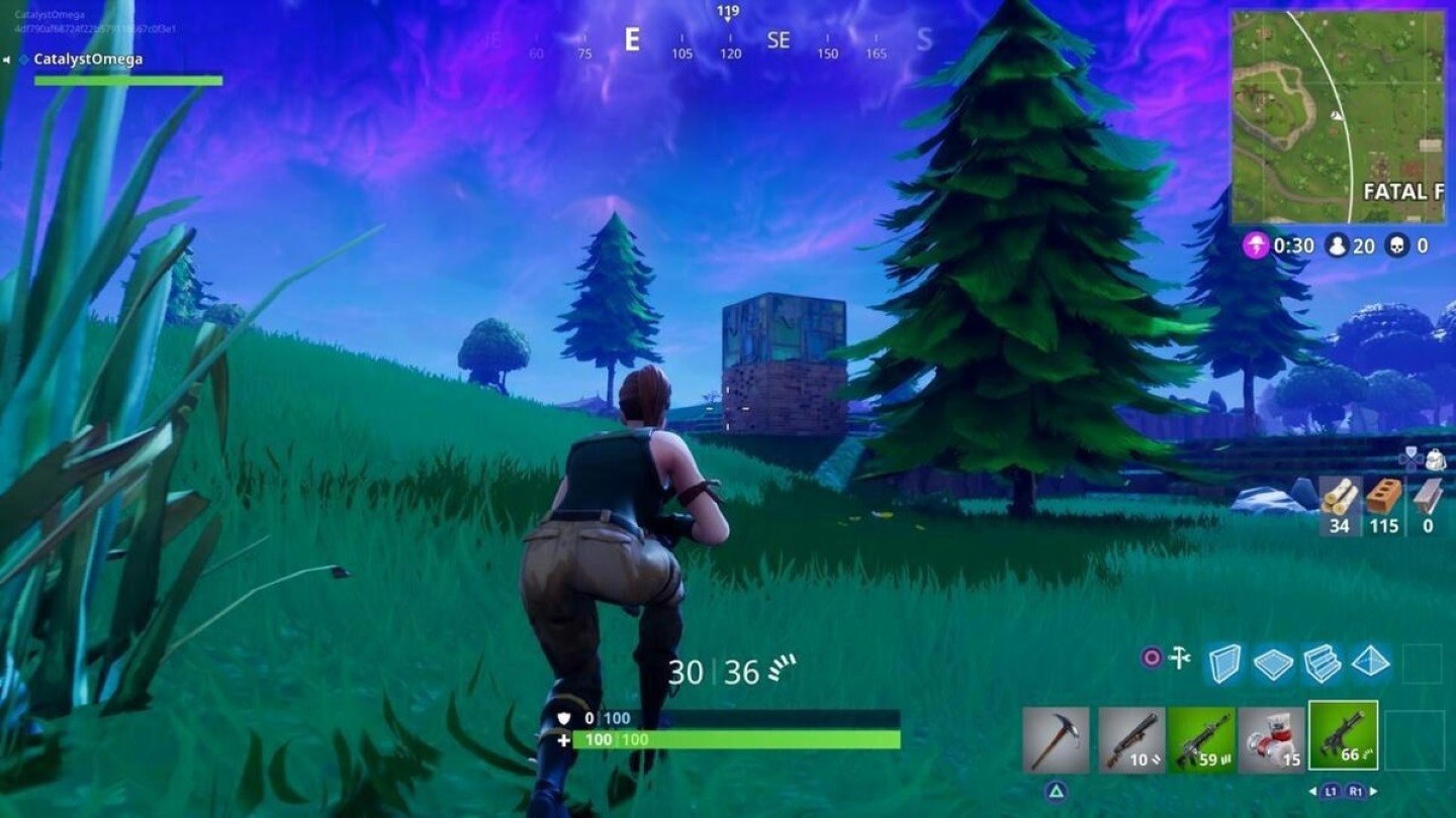 Fortnite