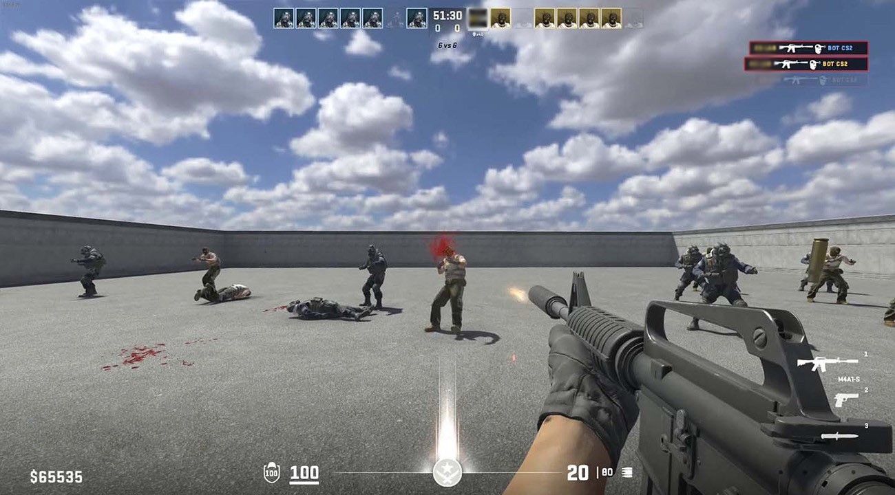 bots no cs2