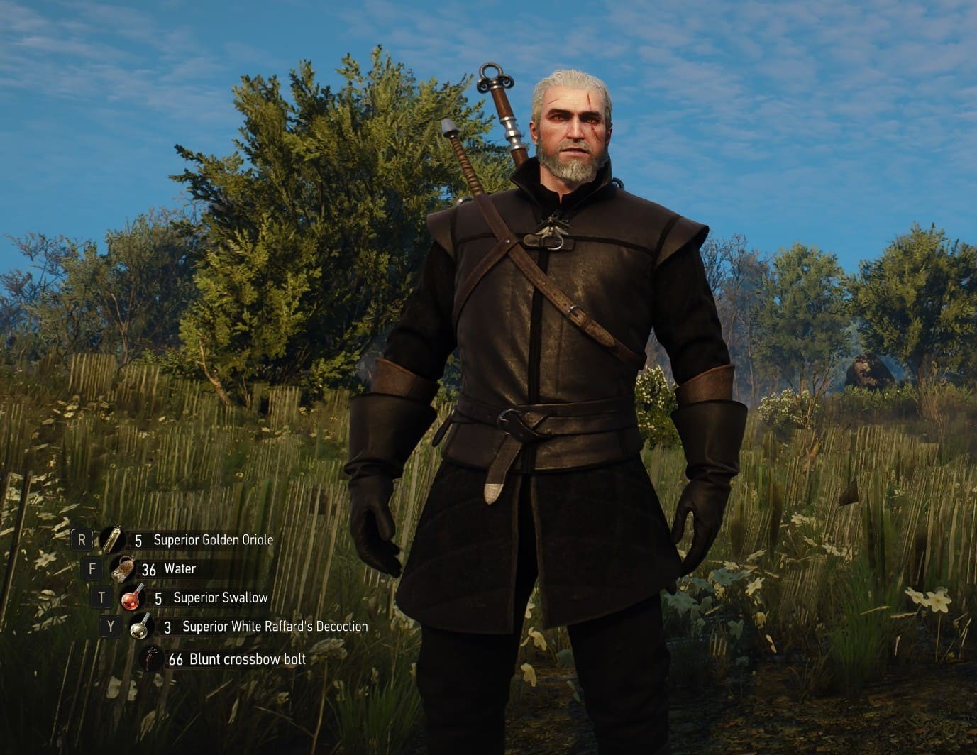 Armor cheats in The Witcher 3